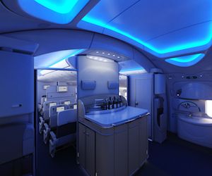 ANA Boeing 787 Dreamliner - Aircraft Interiors International